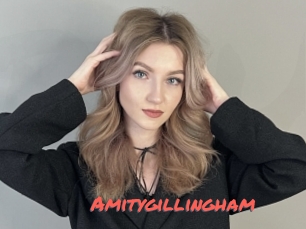 Amitygillingham