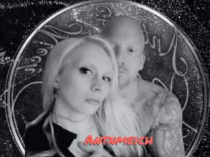 Antnmeich