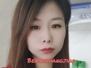 Bericezhangjing