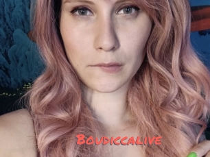 Boudiccalive
