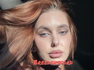 Breedensford