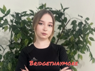 Bridgethaymore