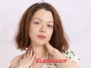 Elenecaris