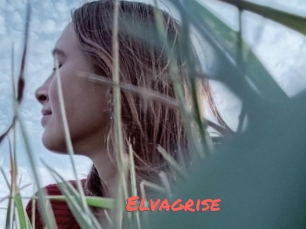 Elvagrise