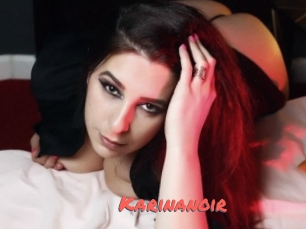 Karinanoir
