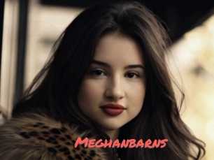 Meghanbarns