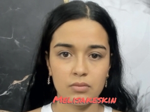 Melisakeskin