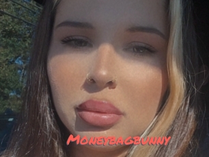 Moneybagbunny