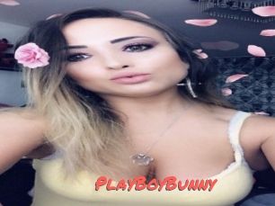 PlayBoyBunny