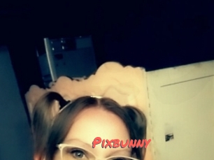Pixbunny