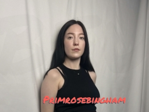 Primrosebingham