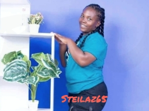 Steilaz65