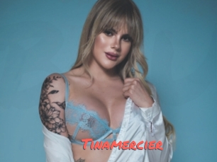 Tinamercier