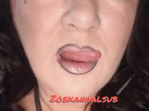 Zoekanaalsub